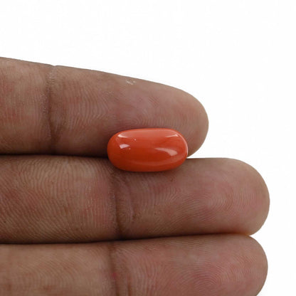 Red Coral (Moonga) - 5.37 Carat