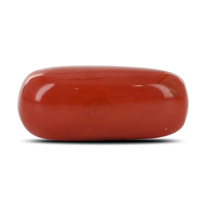 Red Coral (Moonga) - 6.97 Carat