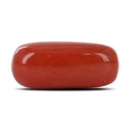 Red Coral (Moonga) - 6.97 Carat