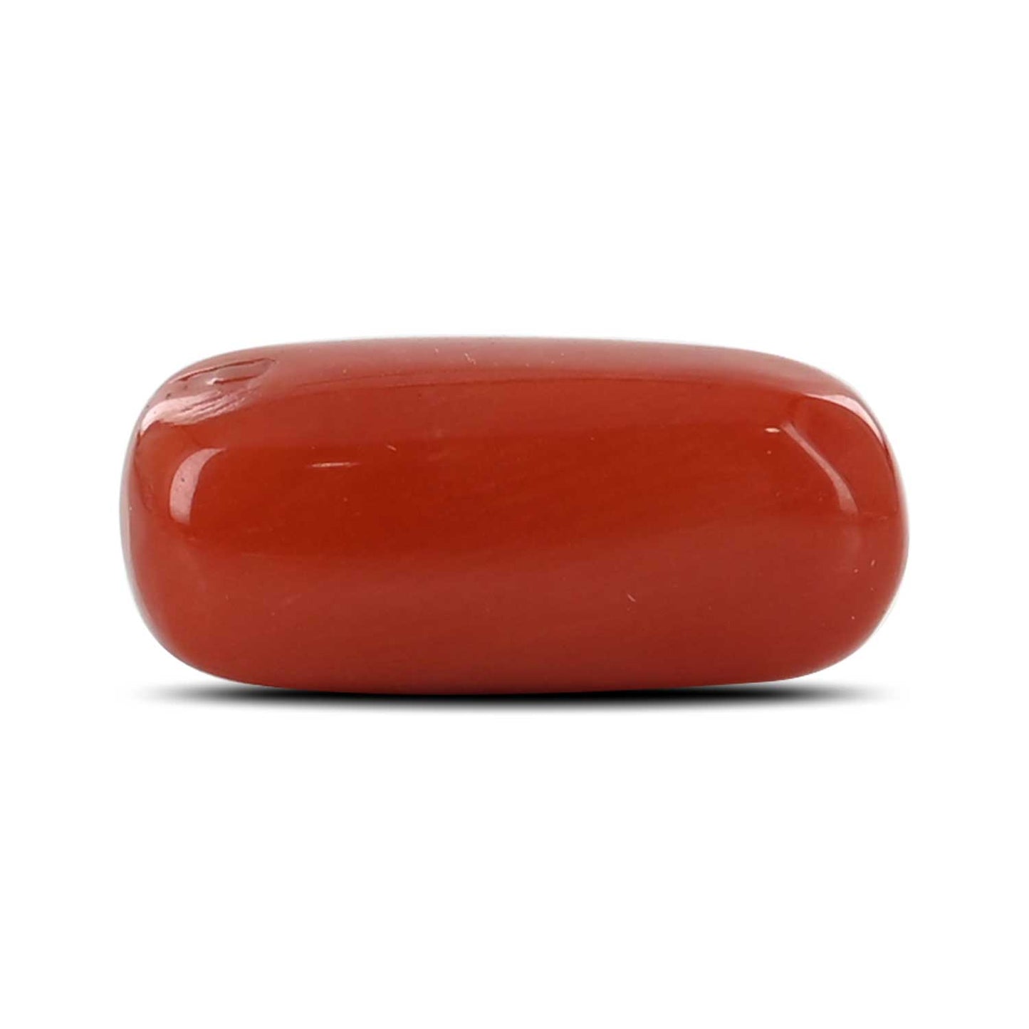 Red Coral (Moonga) - 6.97 Carat