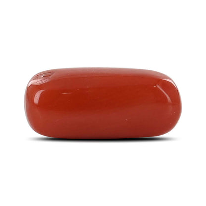 Red Coral (Moonga) - 6.97 Carat