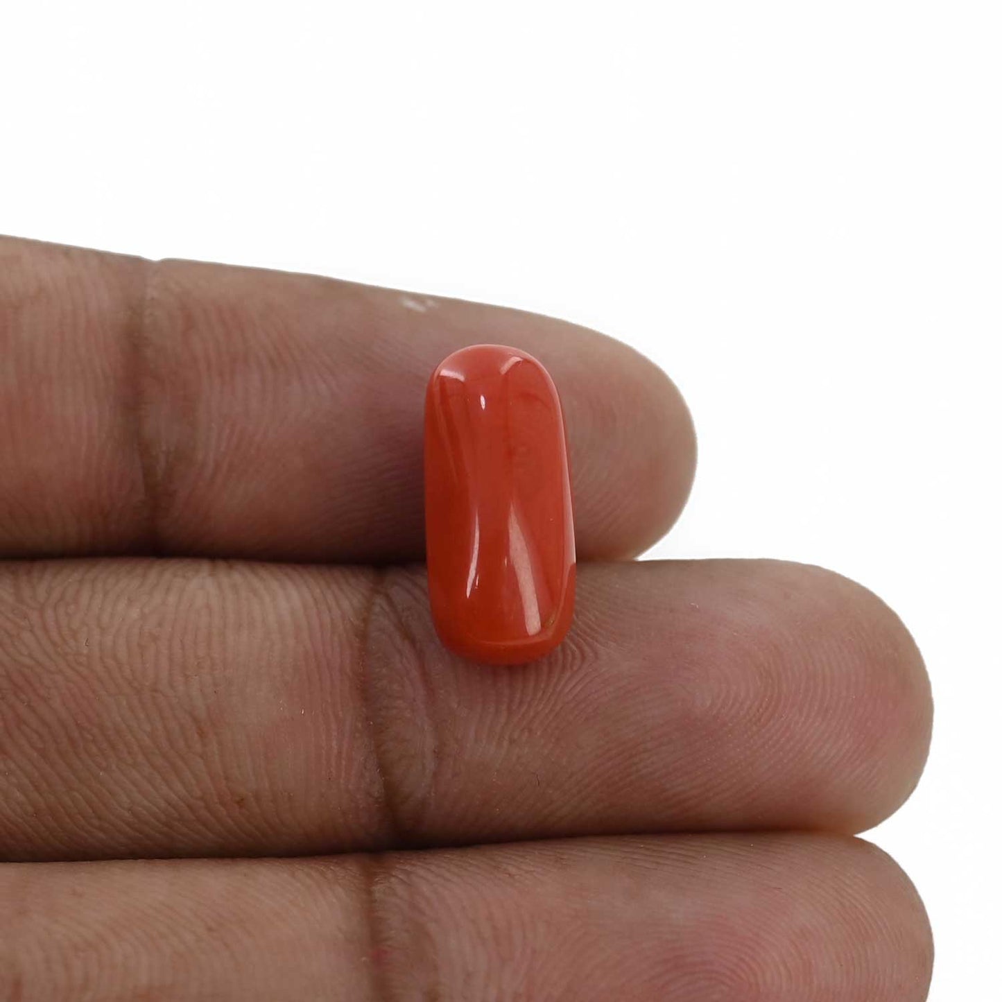 Red Coral (Moonga) - 6.97 Carat