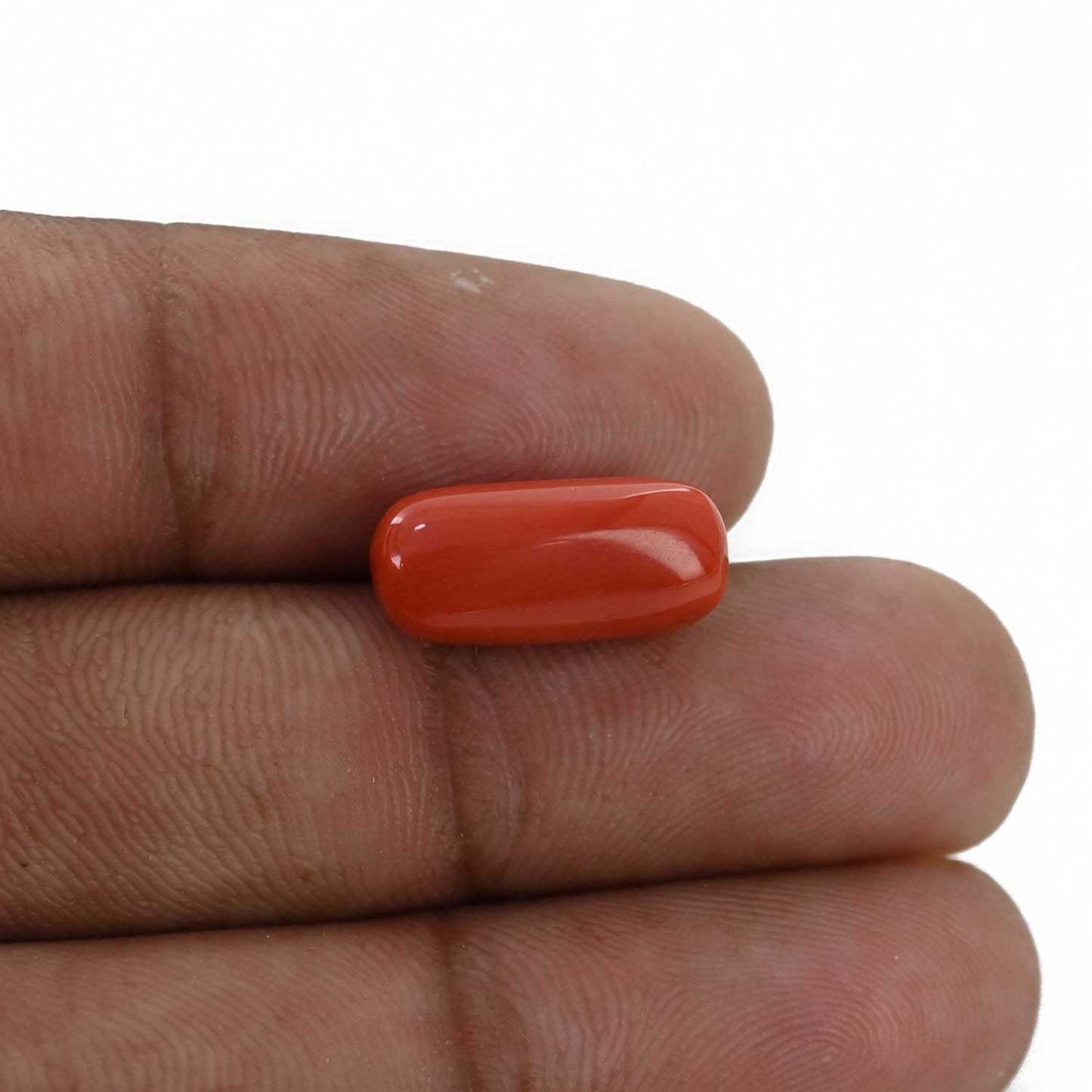 Red Coral (Moonga) - 6.97 Carat