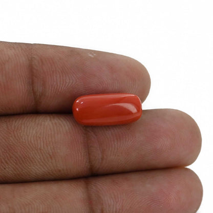 Red Coral (Moonga) - 6.97 Carat