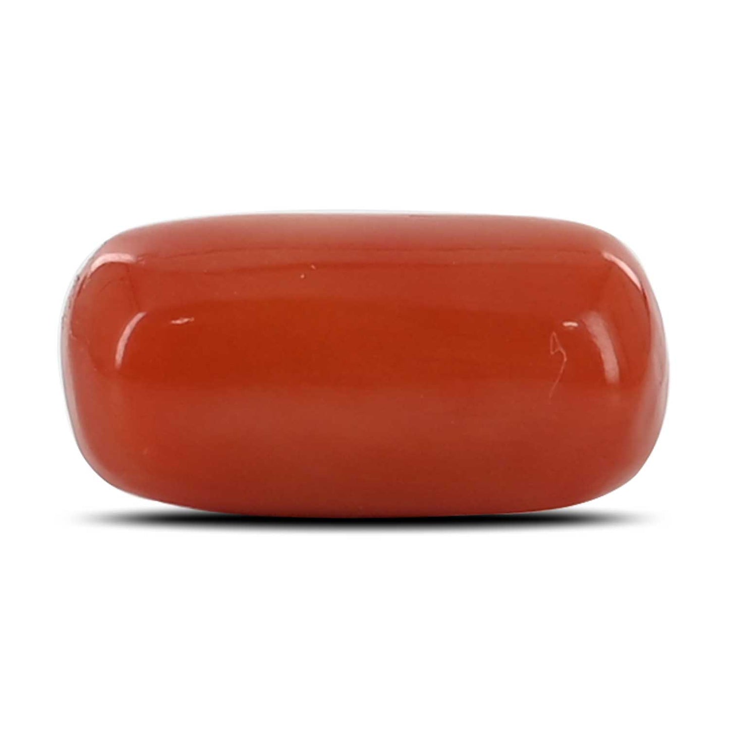 Red Coral (Moonga) - 6.15 Carat