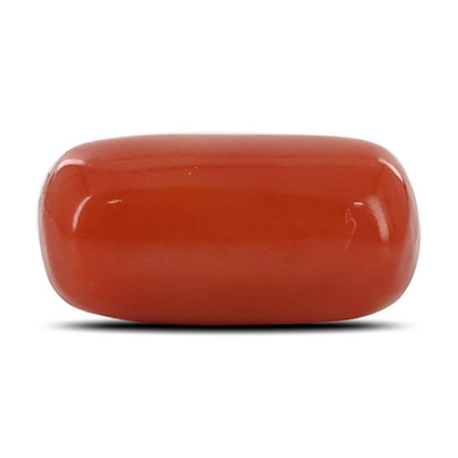 Red Coral (Moonga) - 6.15 Carat