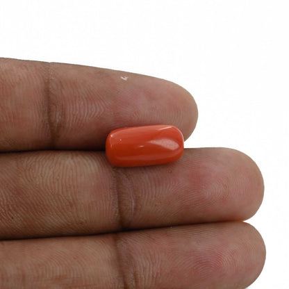 Red Coral (Moonga) - 6.15 Carat