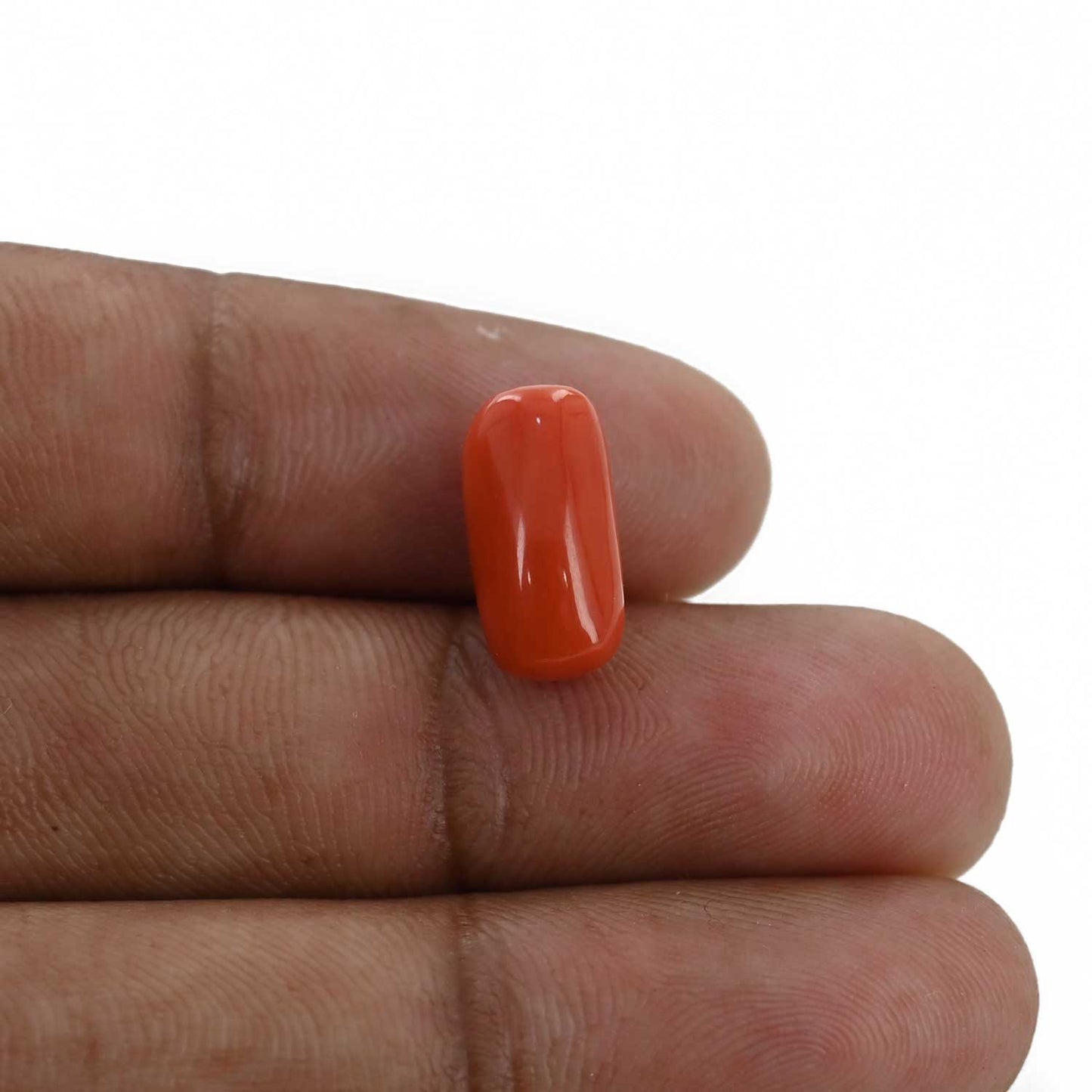 Red Coral (Moonga) - 6.15 Carat
