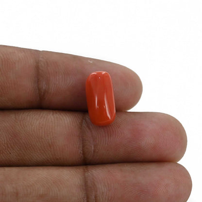 Red Coral (Moonga) - 6.15 Carat