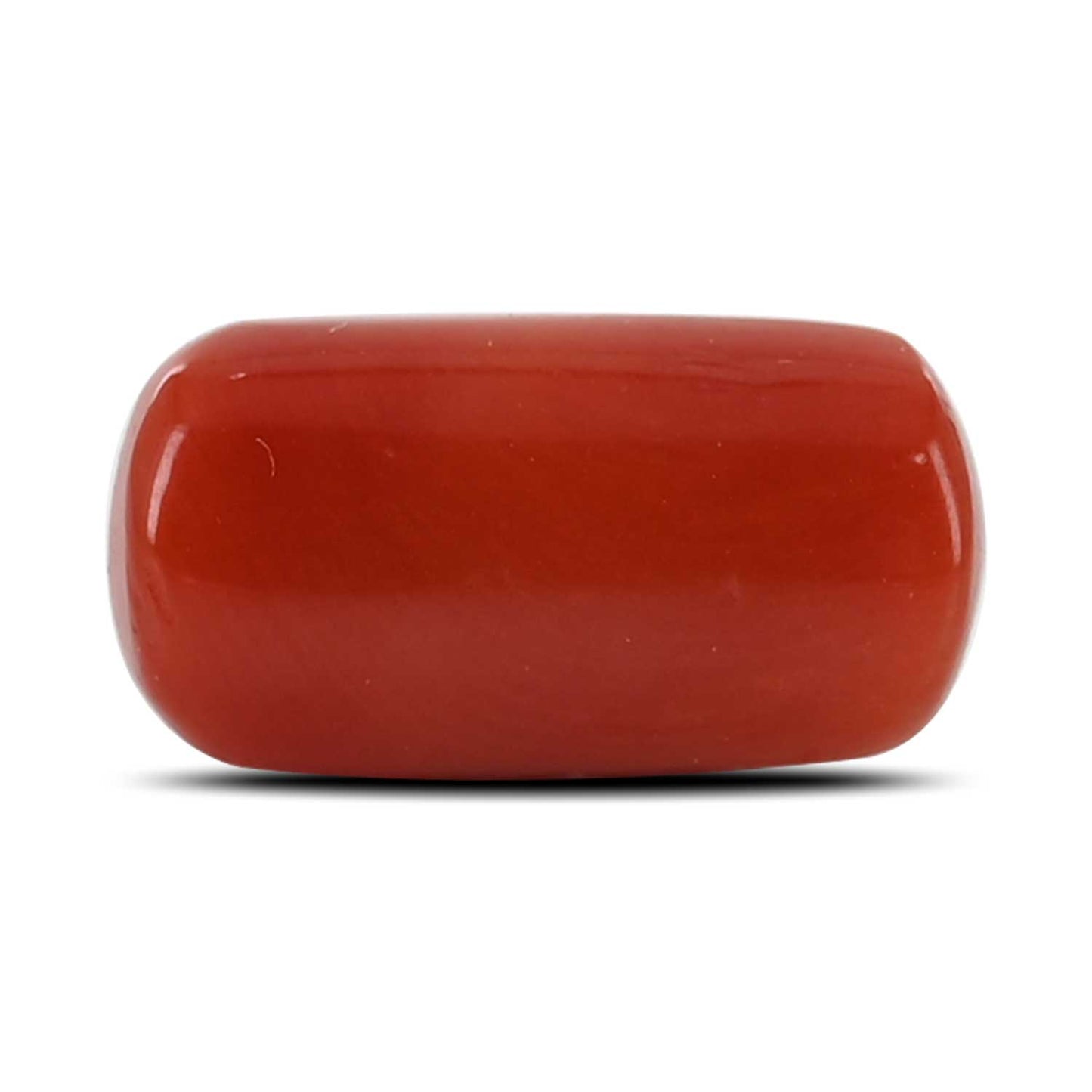 Red Coral (Moonga) - 5.38 Carat