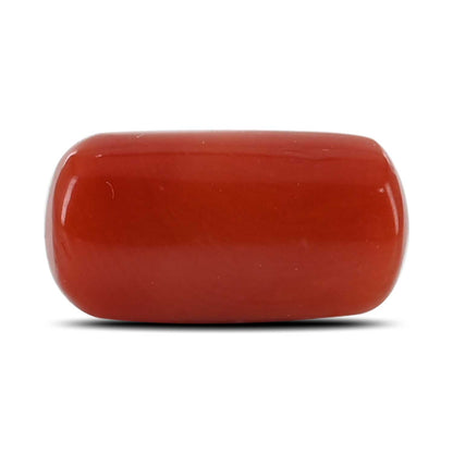 Red Coral (Moonga) - 5.38 Carat