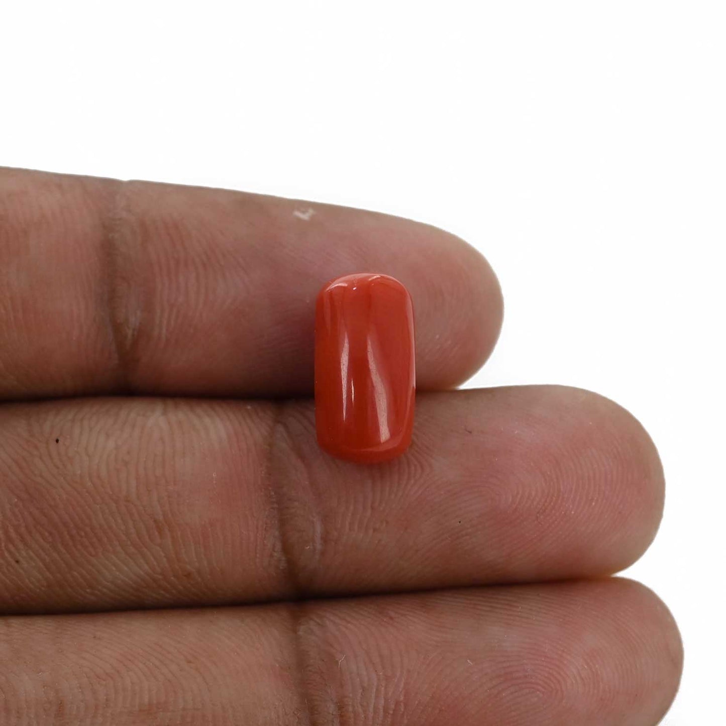 Red Coral (Moonga) - 5.38 Carat