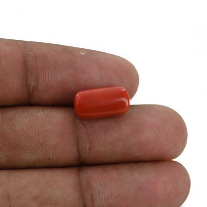 Red Coral (Moonga) - 5.38 Carat