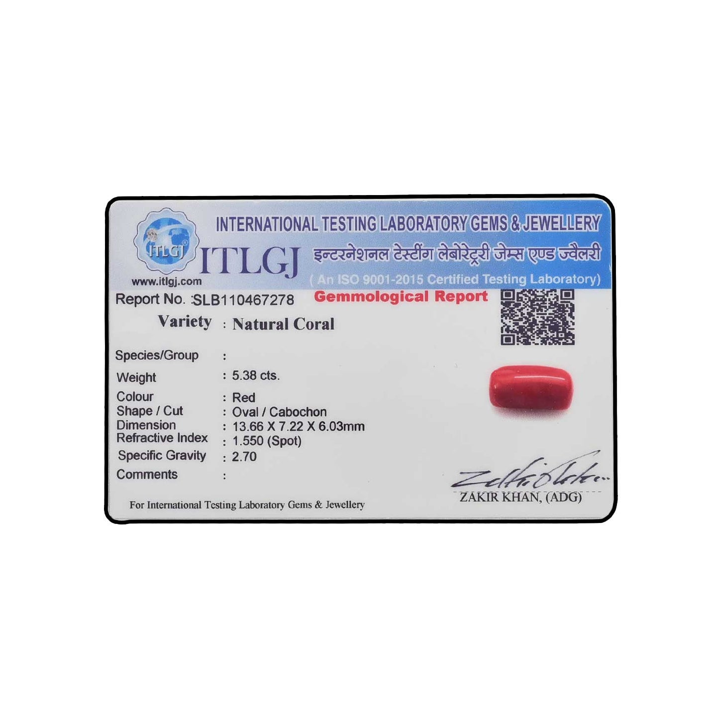 Red Coral (Moonga) - 5.38 Carat