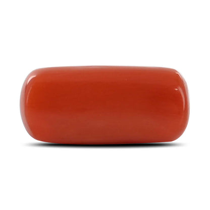 Red Coral (Moonga) - 5.5 Carat