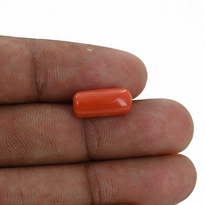 Red Coral (Moonga) - 5.5 Carat