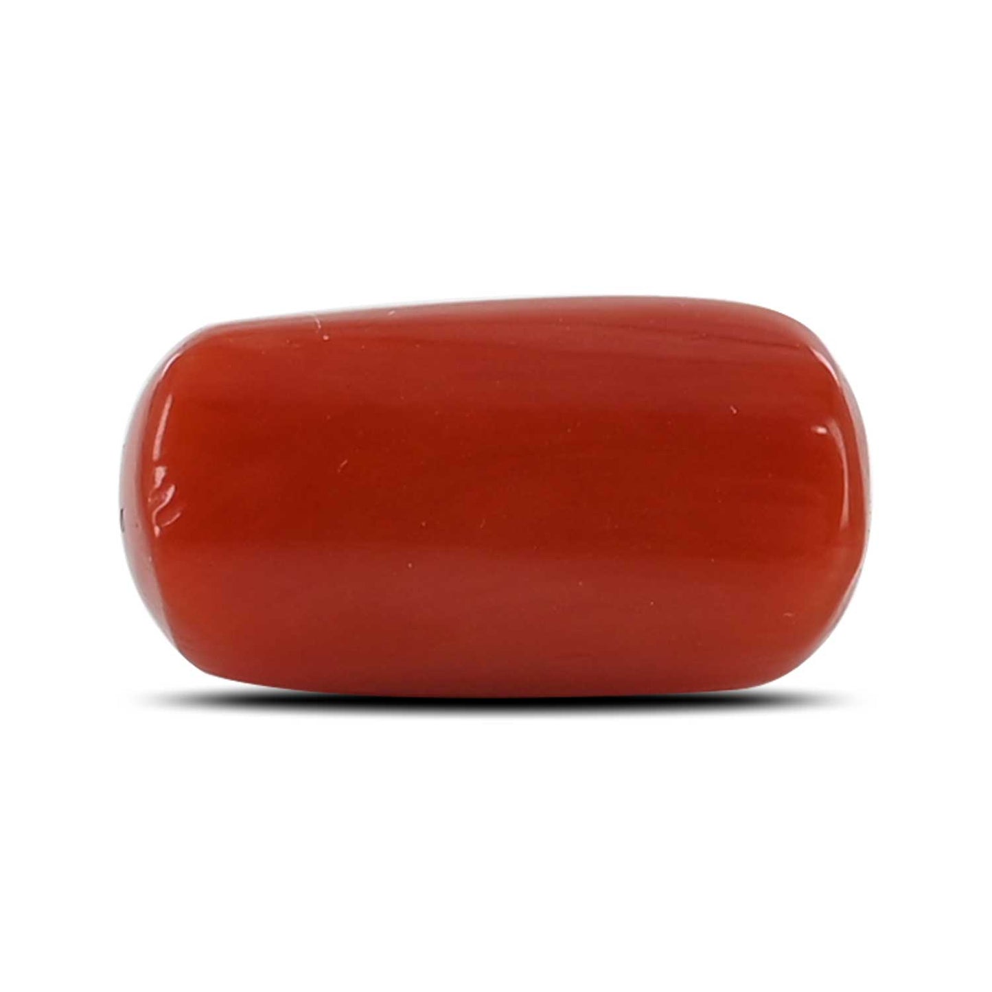 Red Coral (Moonga) - 5.28 Carat