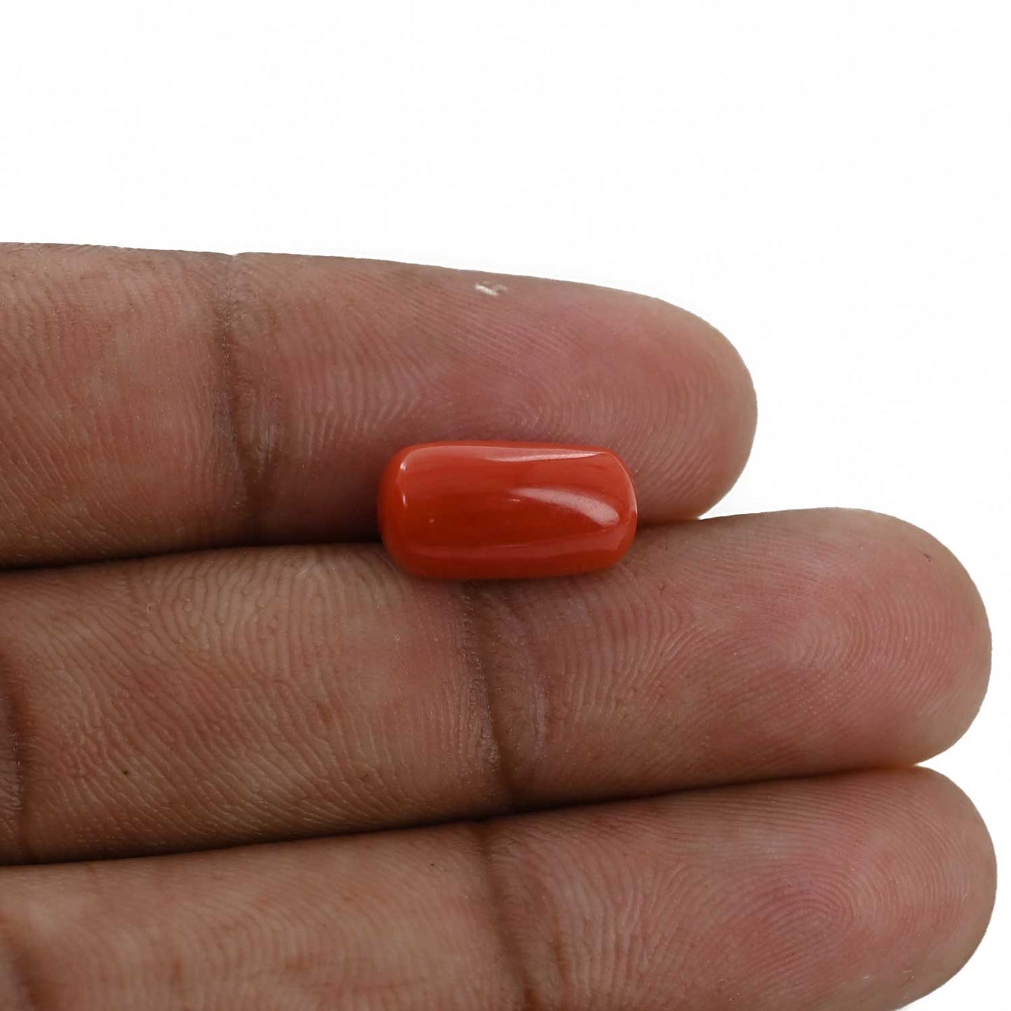 Red Coral (Moonga) - 5.28 Carat