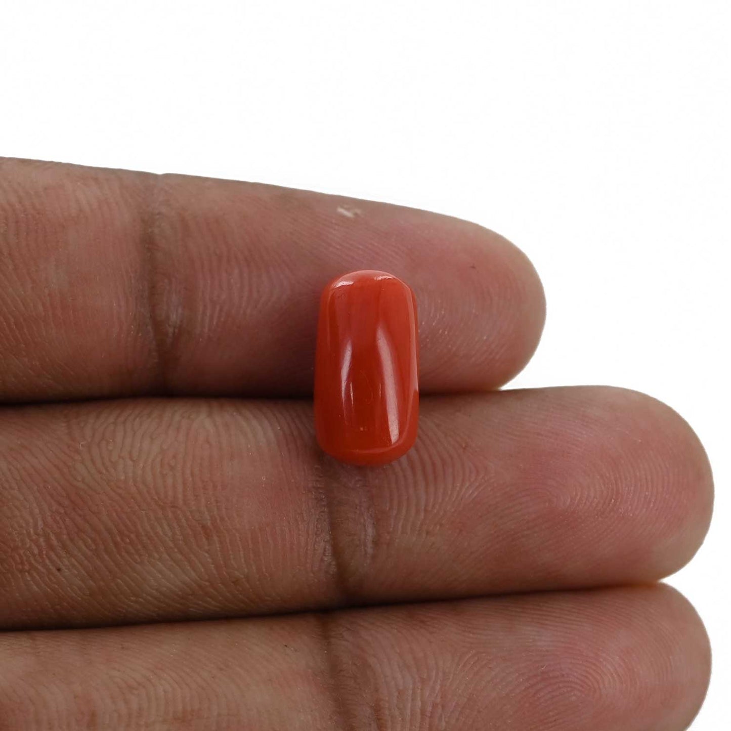 Red Coral (Moonga) - 5.28 Carat