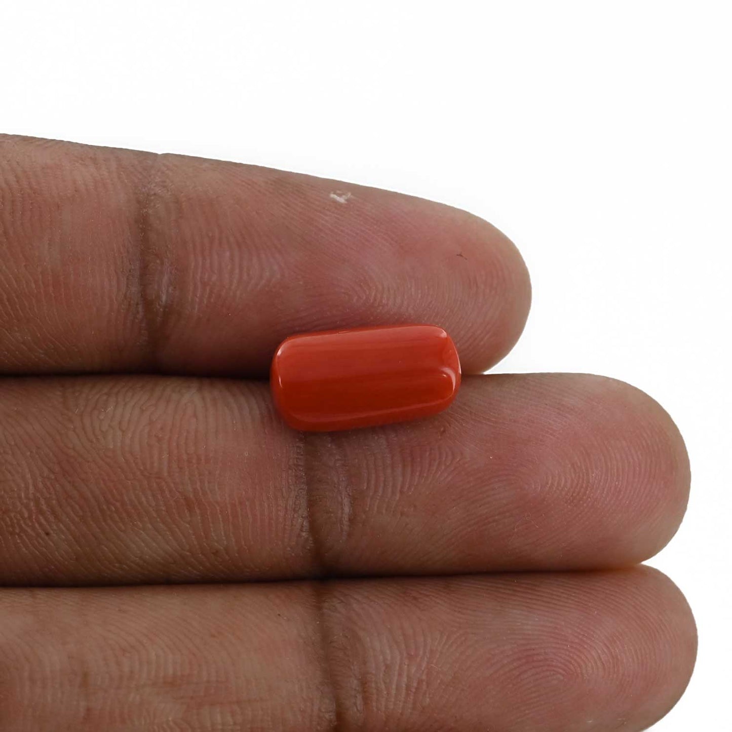 Red Coral (Moonga) - 5.28 Carat