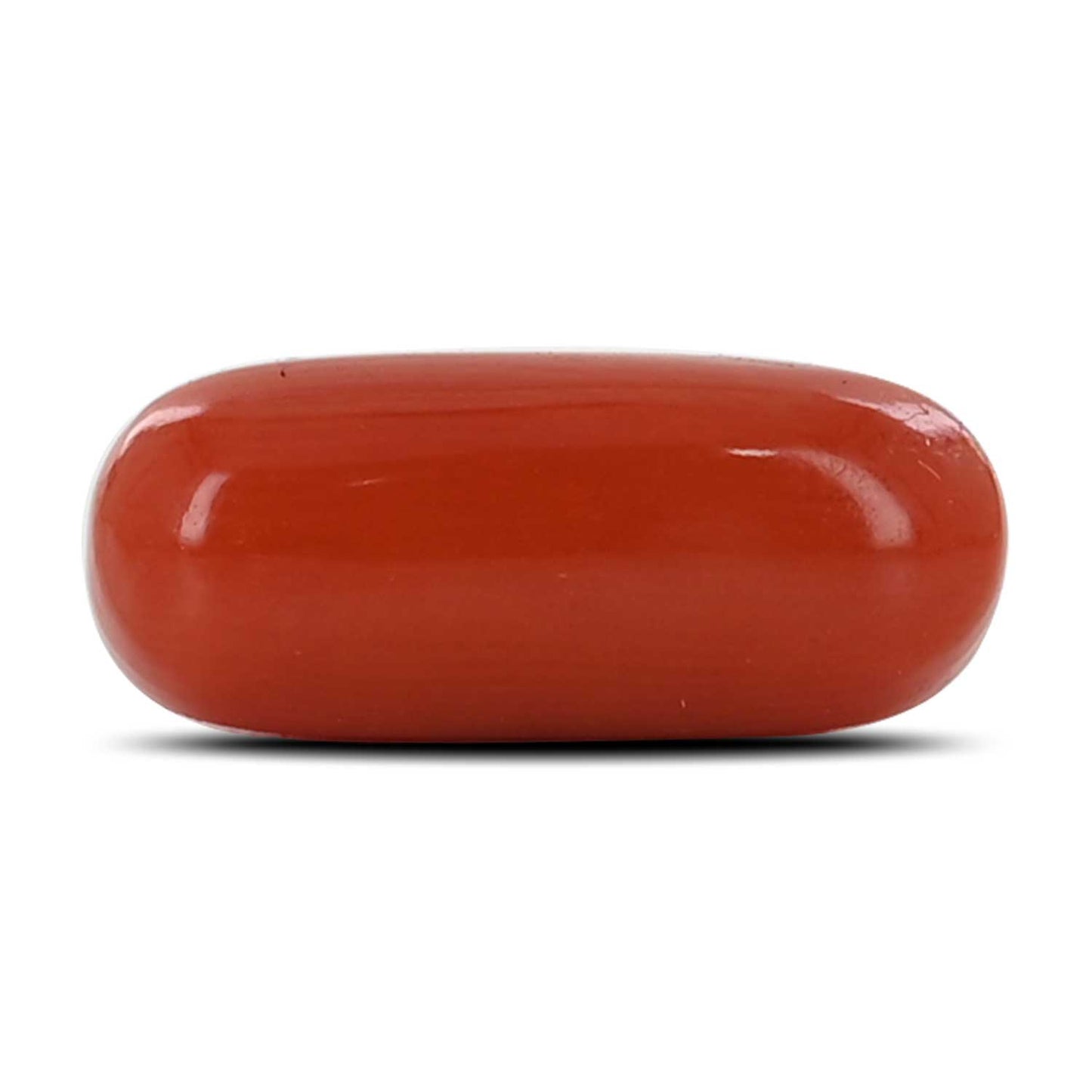 Red Coral (Moonga) - 5.48 Carat