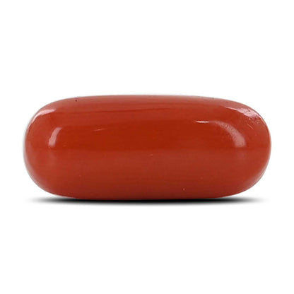 Red Coral (Moonga) - 5.48 Carat