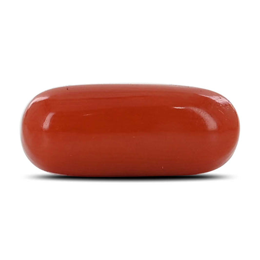 Red Coral (Moonga) - 5.48 Carat