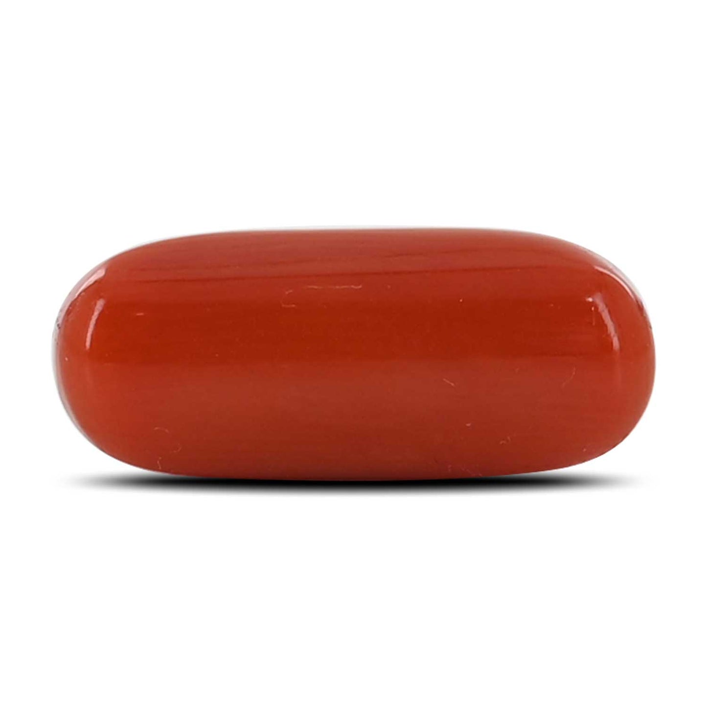 Red Coral (Moonga) - 5.48 Carat