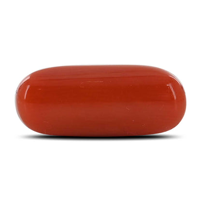 Red Coral (Moonga) - 5.48 Carat