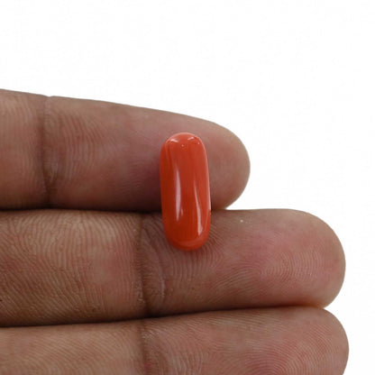 Red Coral (Moonga) - 5.48 Carat