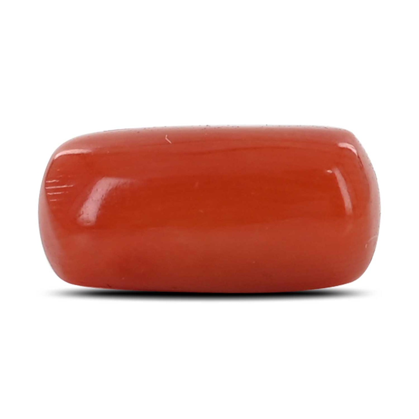 Red Coral (Moonga) - 4.34 Carat