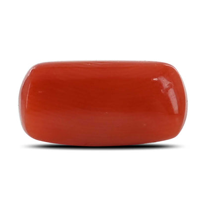 Red Coral (Moonga) - 4.34 Carat