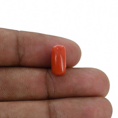 Red Coral (Moonga) - 4.34 Carat