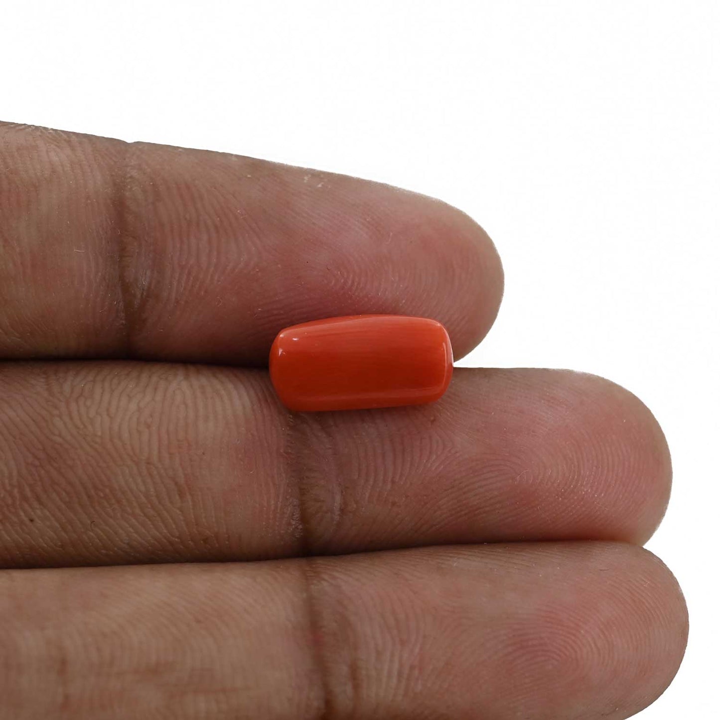 Red Coral (Moonga) - 4.34 Carat
