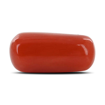 Red Coral (Moonga) - 5.3 Carat