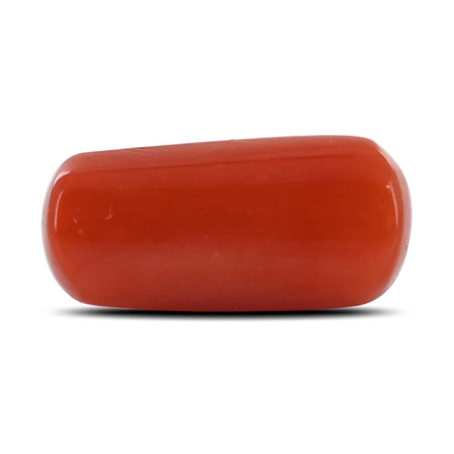 Red Coral (Moonga) - 5.3 Carat
