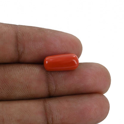 Red Coral (Moonga) - 5.3 Carat