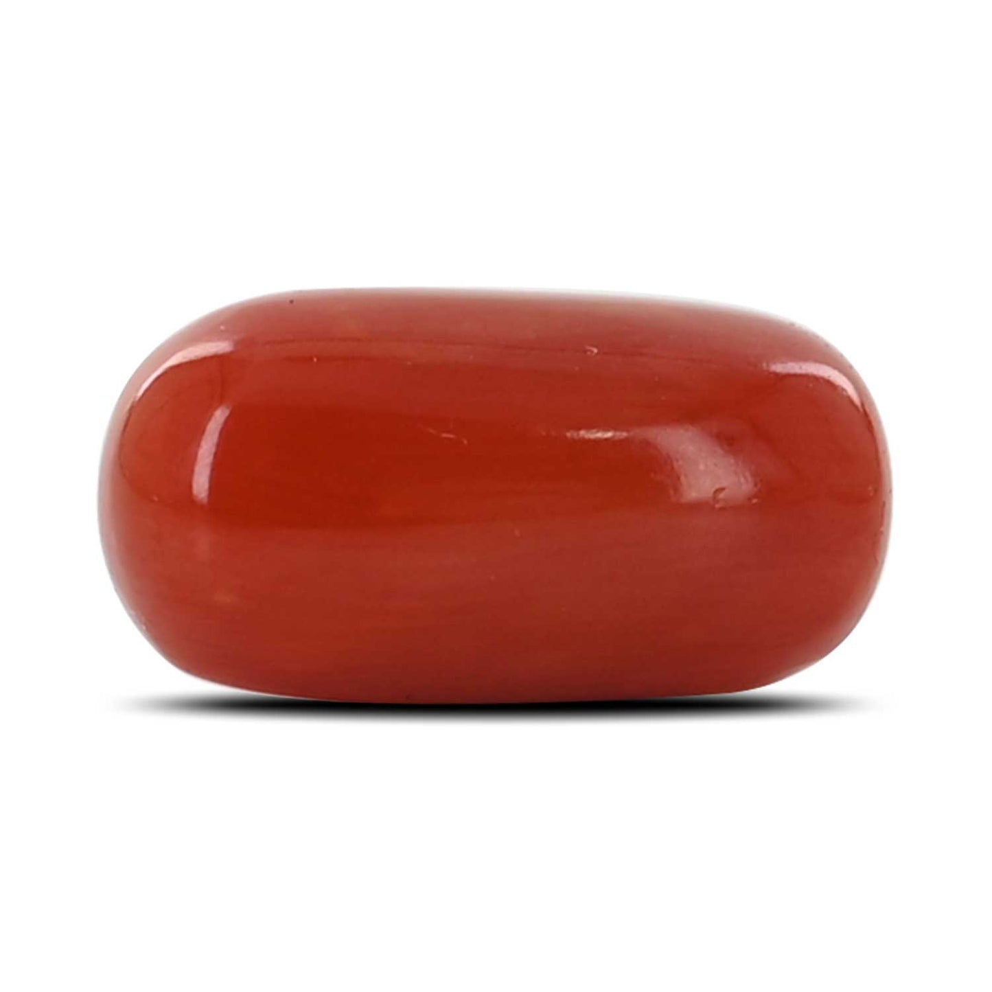 Red Coral (Moonga) - 5.62 Carat