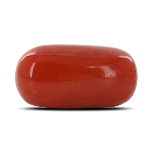 Red Coral (Moonga) - 5.62 Carat