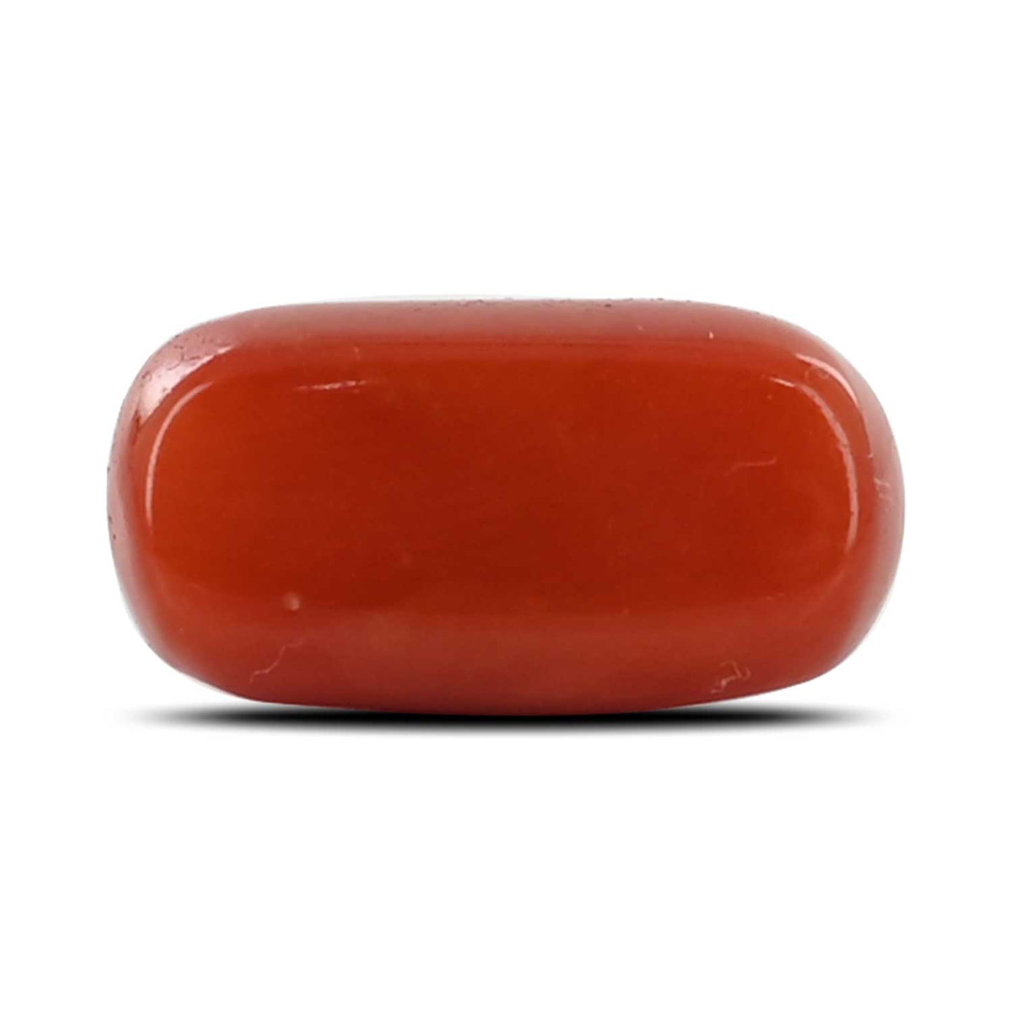 Red Coral (Moonga) - 5.62 Carat