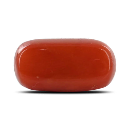 Red Coral (Moonga) - 5.62 Carat
