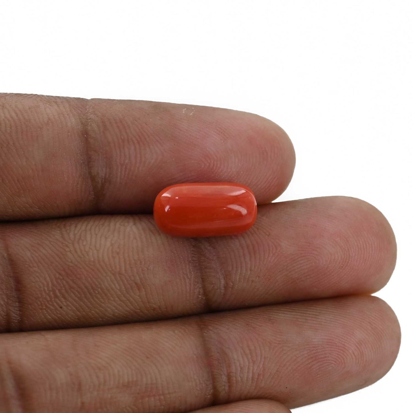 Red Coral (Moonga) - 5.62 Carat