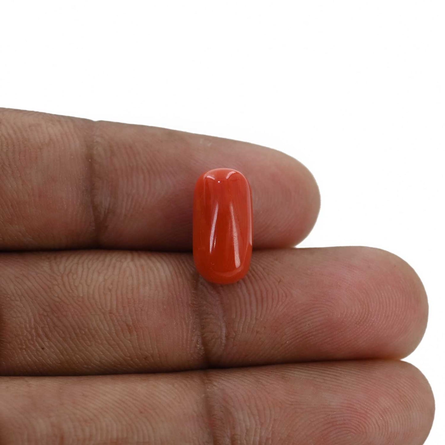 Red Coral (Moonga) - 5.62 Carat