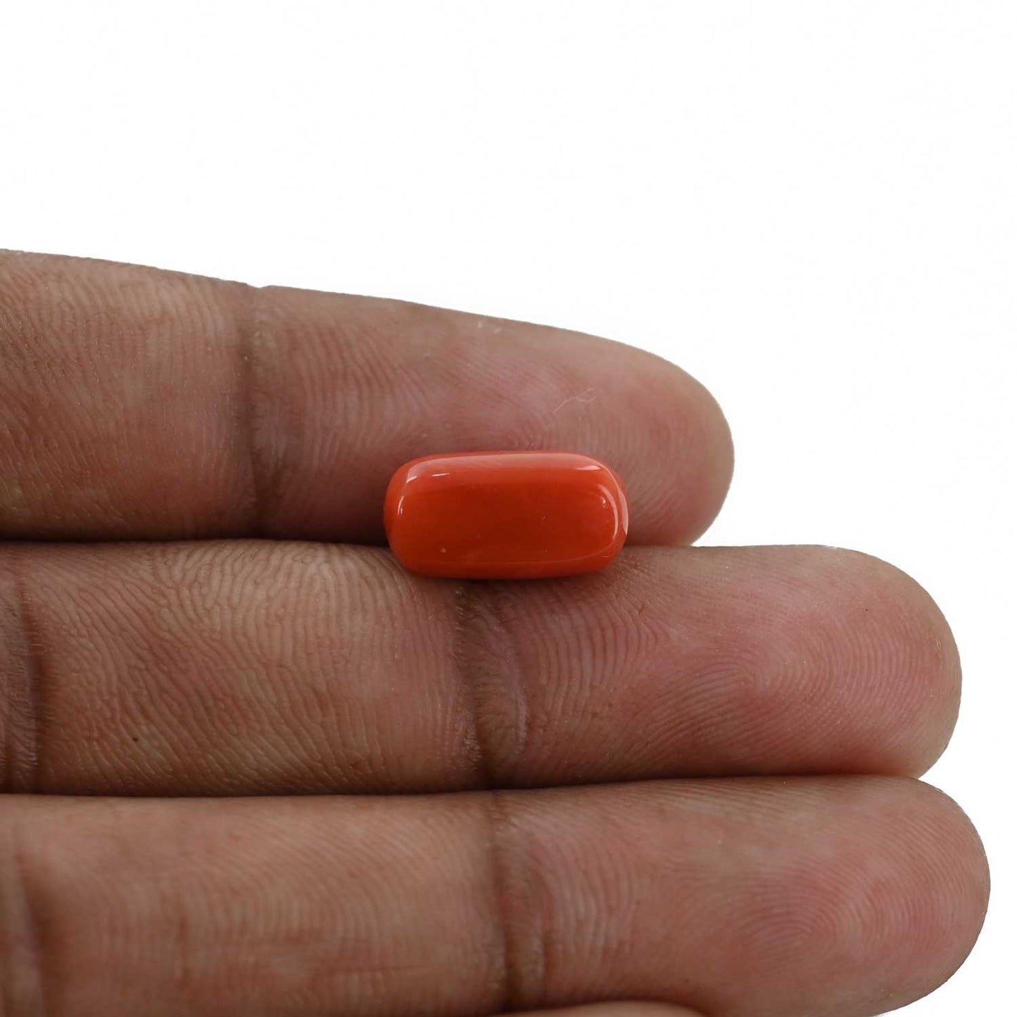 Red Coral (Moonga) - 5.62 Carat