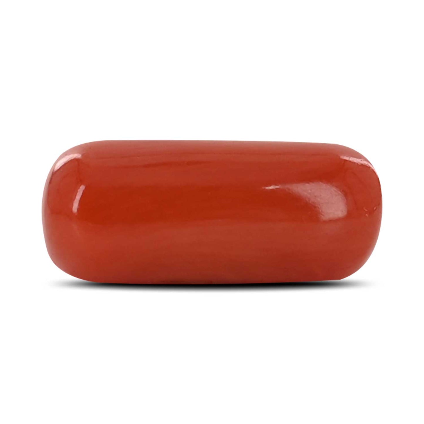 Red Coral (Moonga) - 5.7 Carat