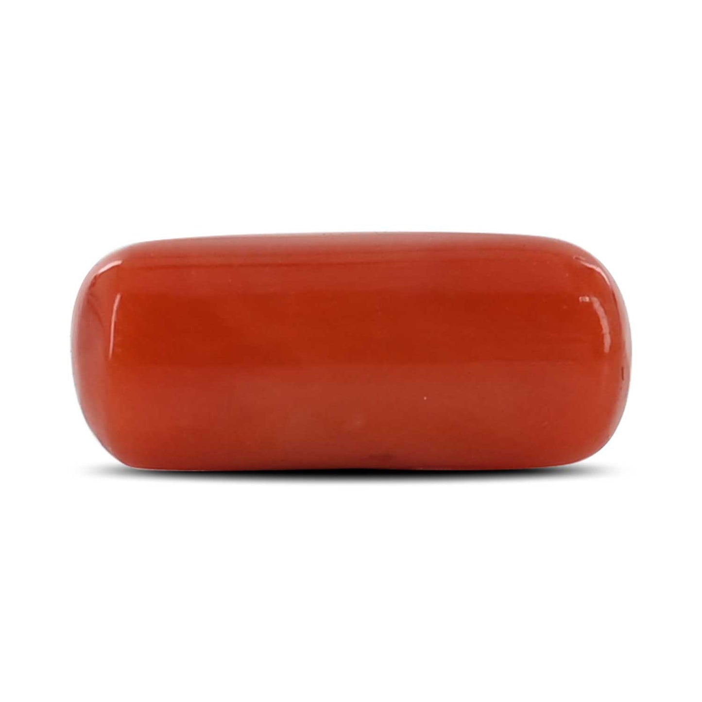 Red Coral (Moonga) - 5.7 Carat