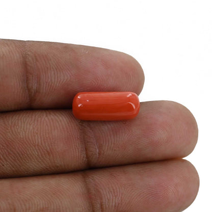 Red Coral (Moonga) - 5.7 Carat