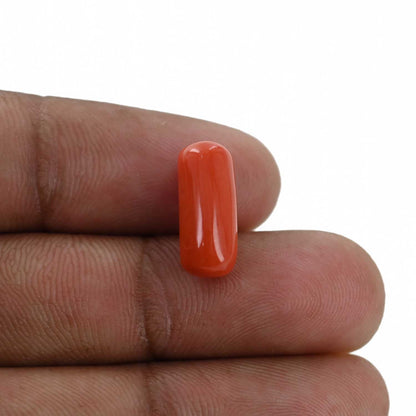 Red Coral (Moonga) - 5.7 Carat