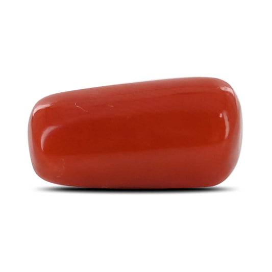 Red Coral (Moonga) - 5.33 Carat