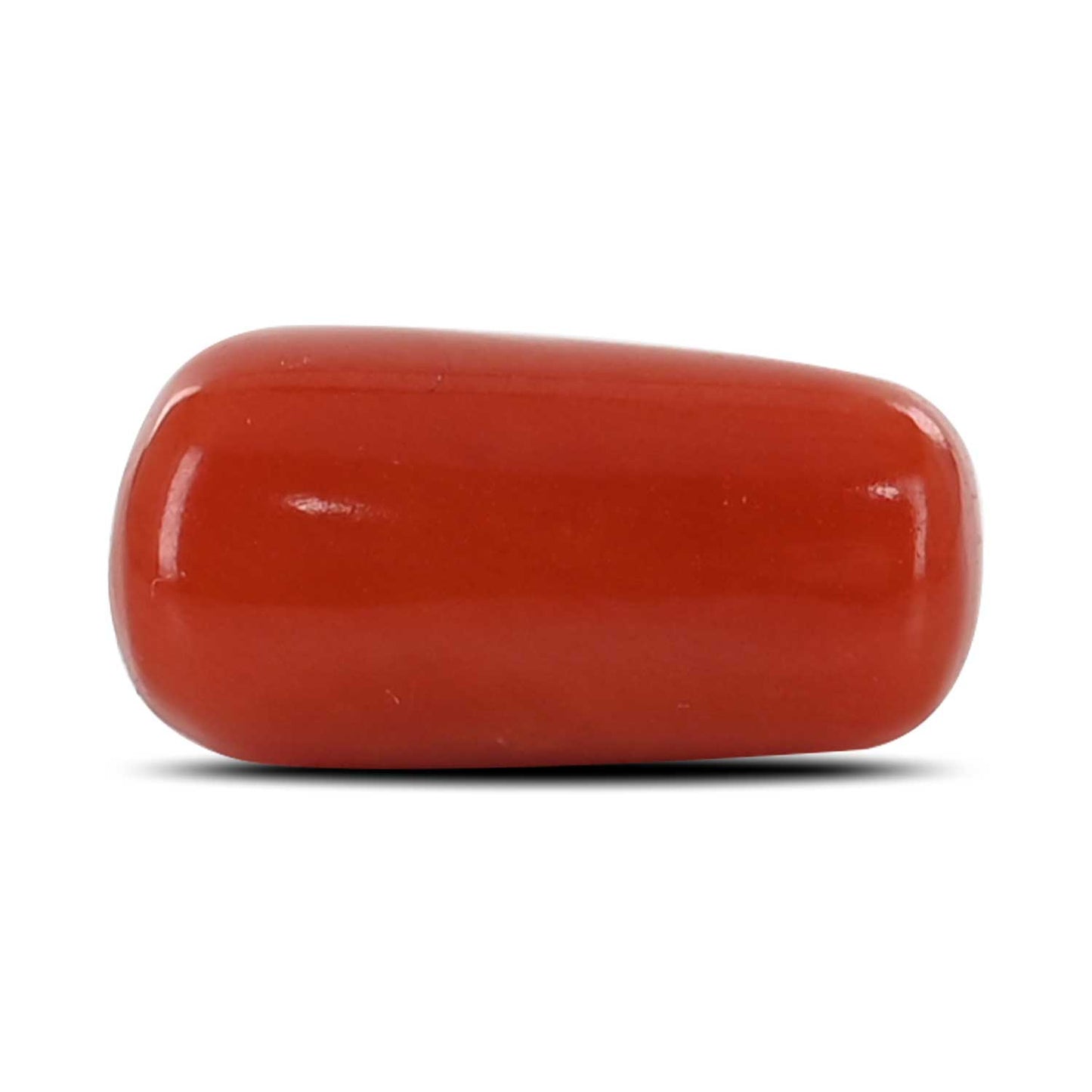 Red Coral (Moonga) - 5.33 Carat
